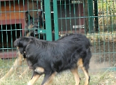 Pension_1
