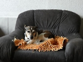 Pension_1