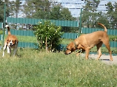 Pension_22