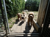 Pension_23