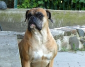 Pension_24
