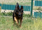 Pension_24