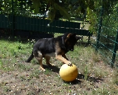 Pension_24