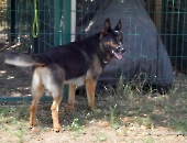 Pension_26