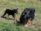 Pension_26