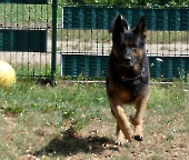 Pension_26