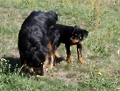 Pension_27