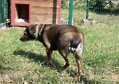 Pension_37