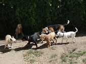 Pension_3