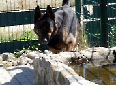 Pension_41