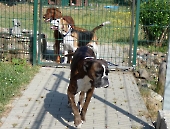 Pension_42