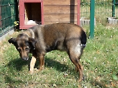 Pension_43