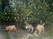 Pension_49