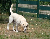 Pension_49