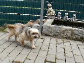 Pension_51