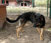 Pension_56