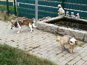 Pension_58