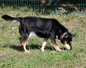 Pension_62