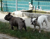Pension_62