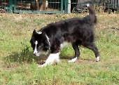 Pension_63