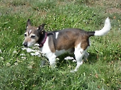 Pension_68