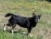 Pension_72