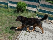 Pension_12