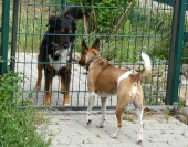 Pension_1