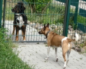 Pension_24