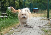 Pension_2