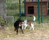 Pension_31