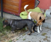 Pension_63