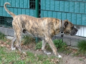 PENSION_40
