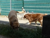 Pension_12