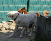 Pension_27