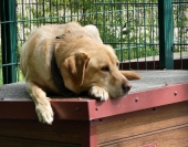 Pension_3