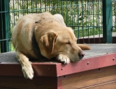 Pension_4