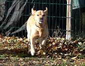 Pension_11
