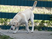 Pension_1