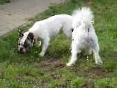 Pension_22