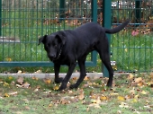 Pension_2