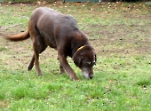 Pension_47
