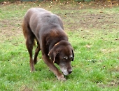 Pension_48