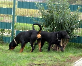 Pension_4