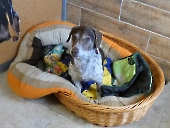 Pension_13