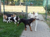 Pension_21