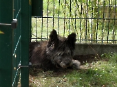 Pension_21