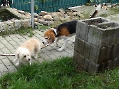 Pension_22