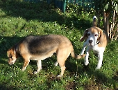 Pension_29