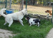 Pension_2